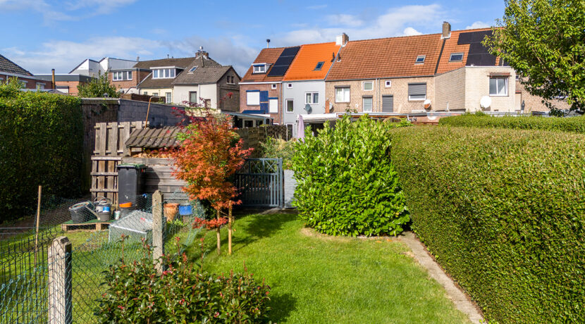 220-Tuin2