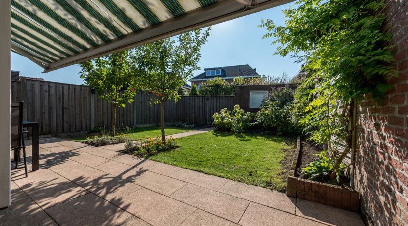 230-Tuin2