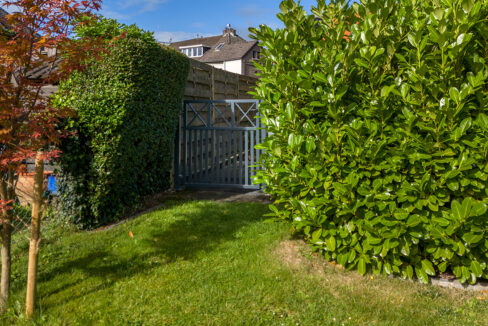 230-Tuin3