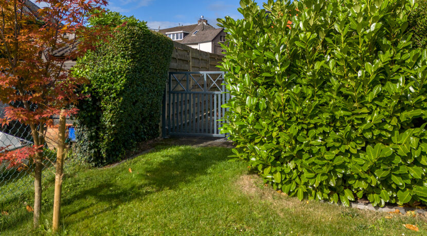 230-Tuin3