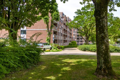 204-Omgeving3