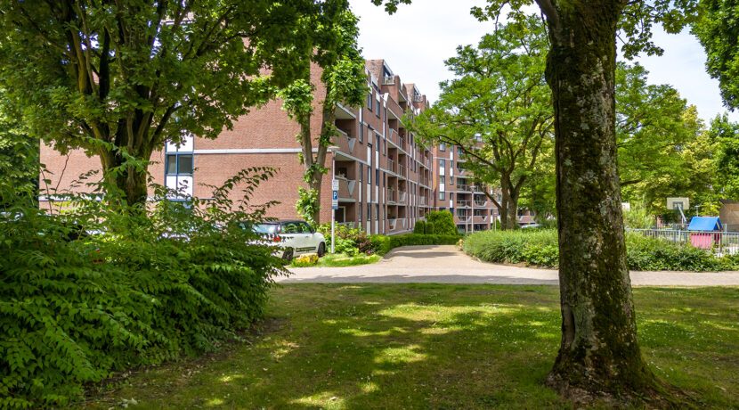204-Omgeving3