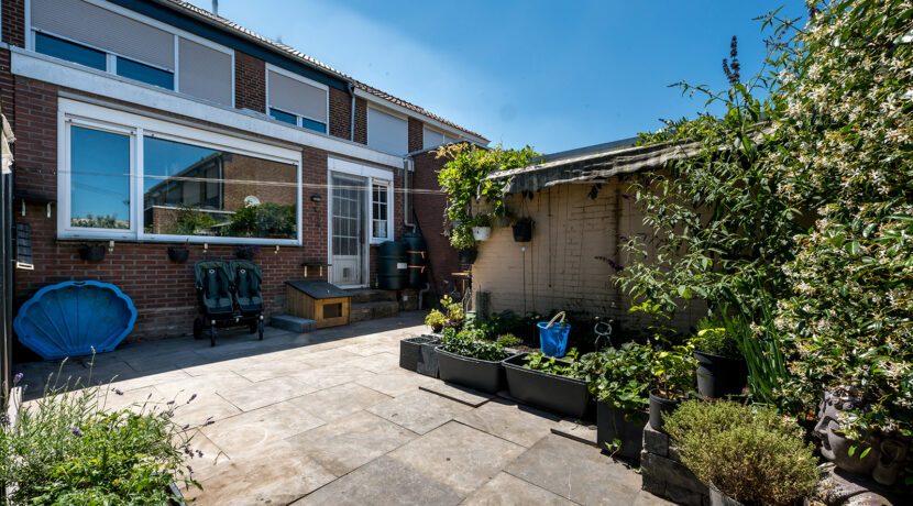 240-Tuin3