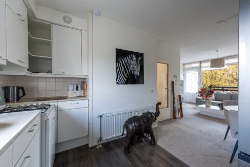 110-Keuken1-2