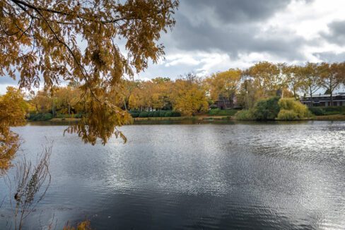 274-Vijverpark3