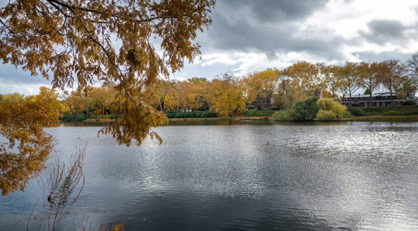 274-Vijverpark3