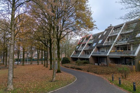 290-Omgeving0
