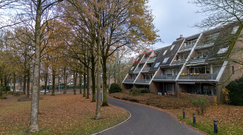 290-Omgeving0