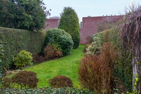 212-Tuin2