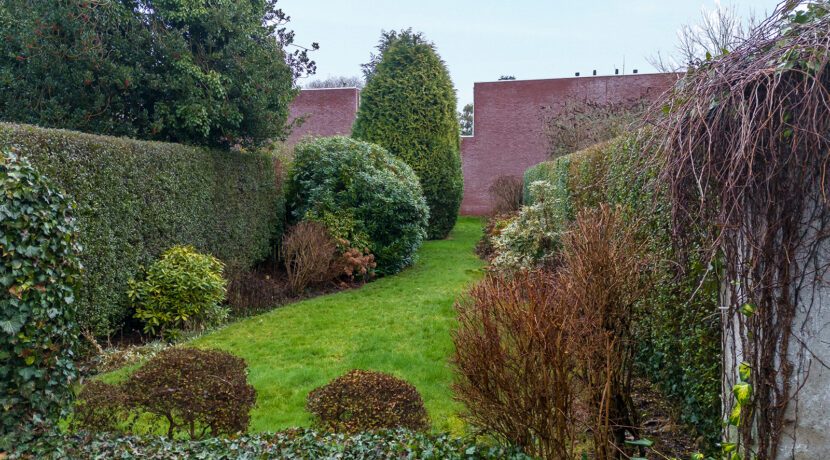 212-Tuin2