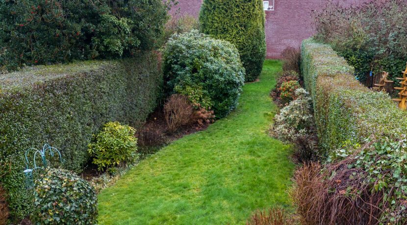 214-Tuin3