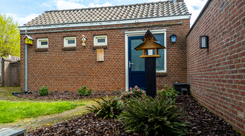 218-Tuin3