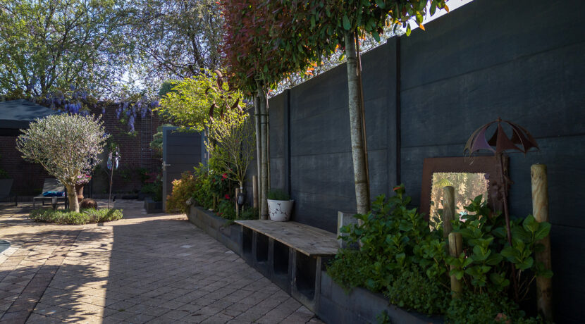 234-Tuin5