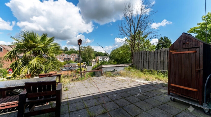 254-Tuin3