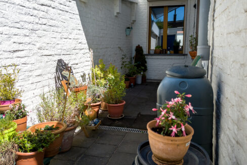 210-Tuin1