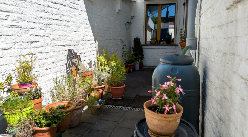210-Tuin1