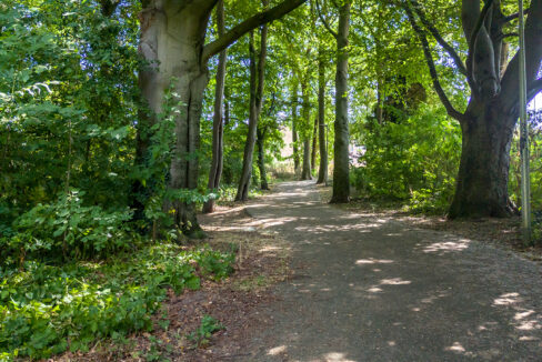 212-Omgeving1-2