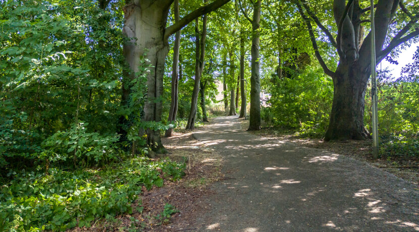 212-Omgeving1-2