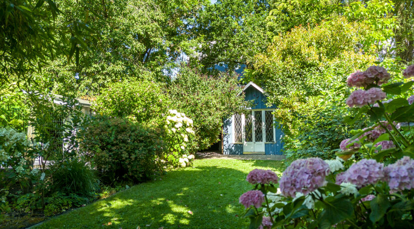 244-Tuin8