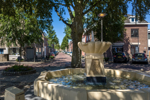 250-Omgeving1