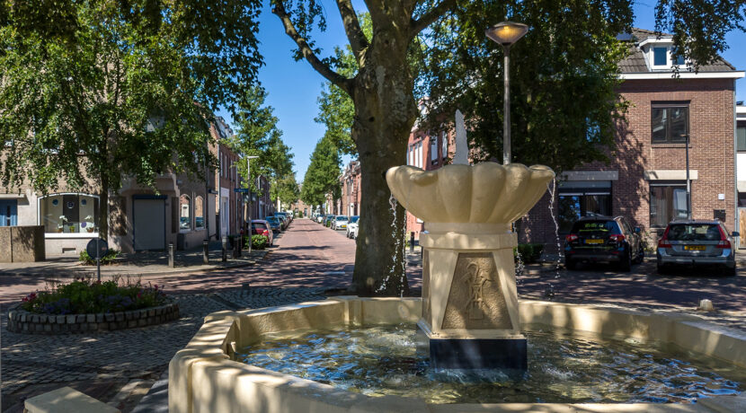 250-Omgeving1