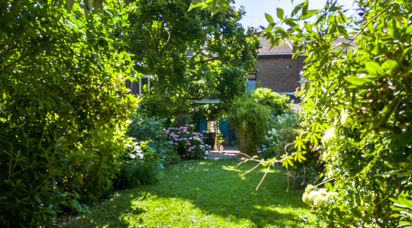 252-Tuin12