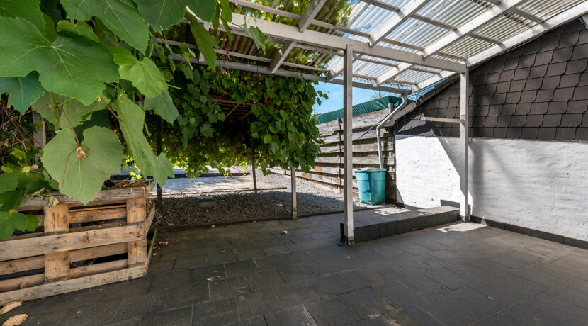 210-Tuin2