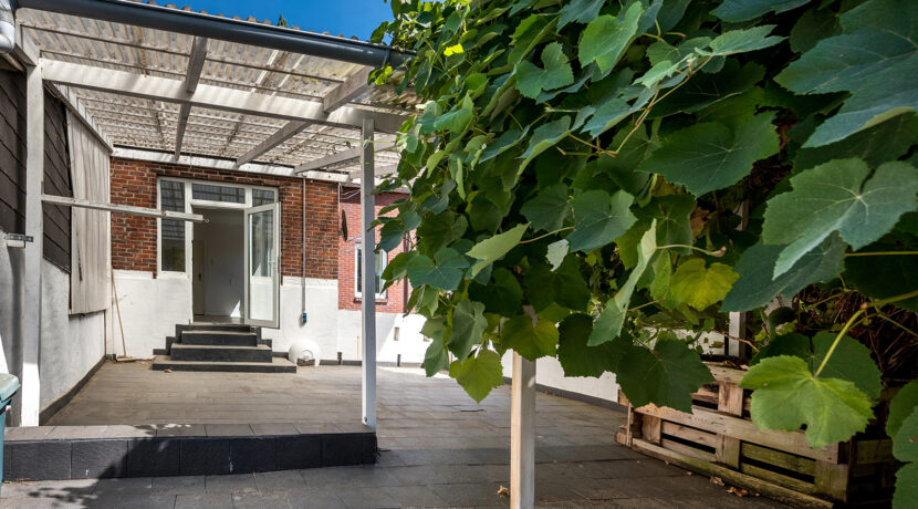 220-Tuin3
