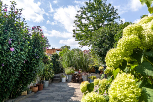 240-Tuin1