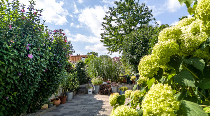 240-Tuin1