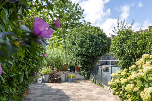 242-Tuin2