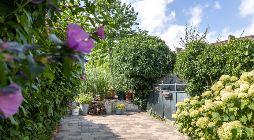 242-Tuin2