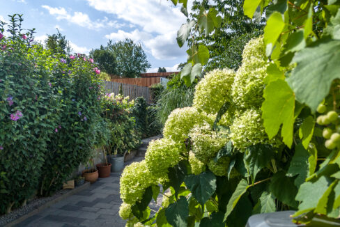 244-Tuin3