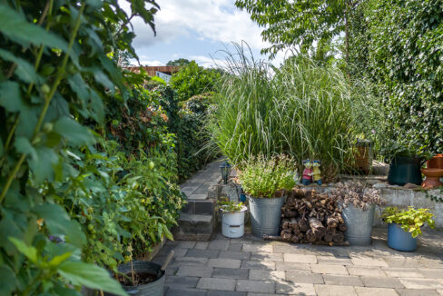 246-Tuin4