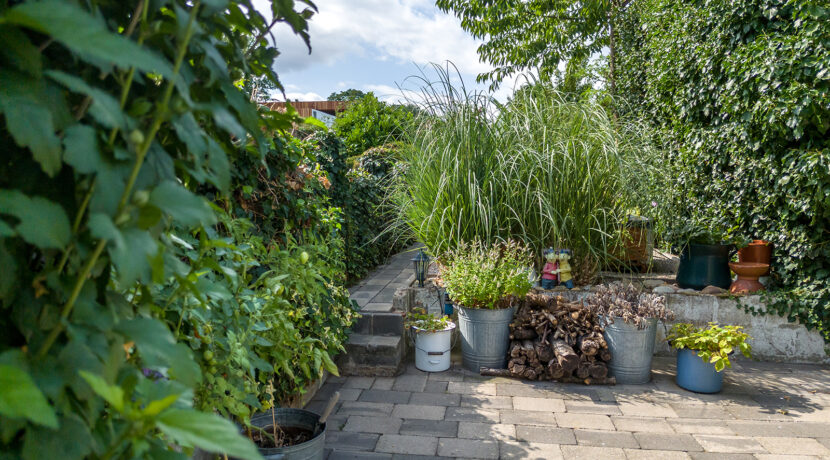 246-Tuin4