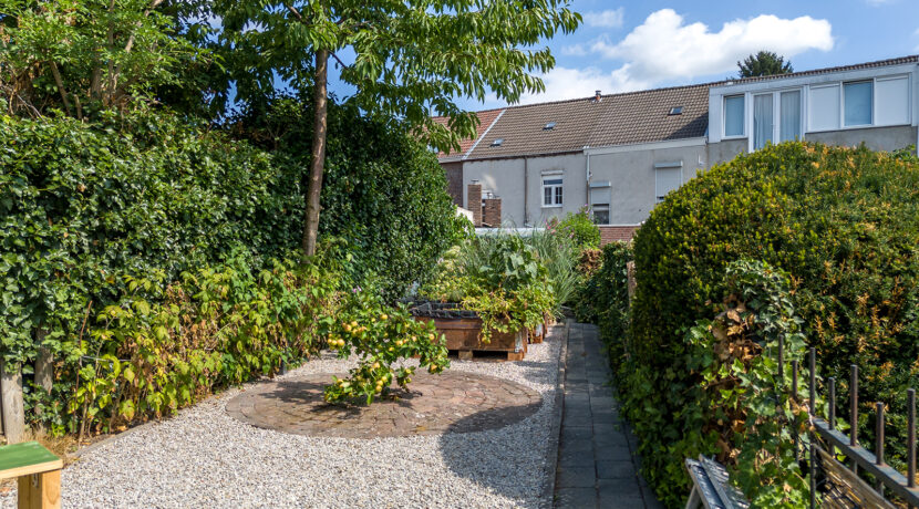 250-Tuin6