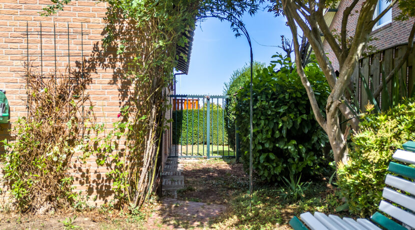 226-Tuin4