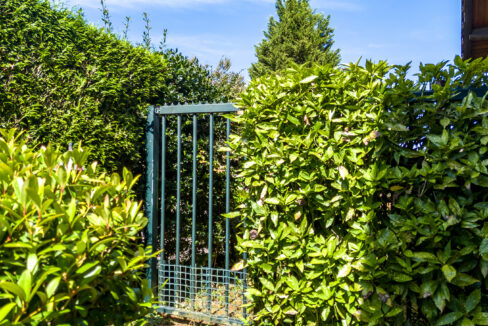 238-Tuin10