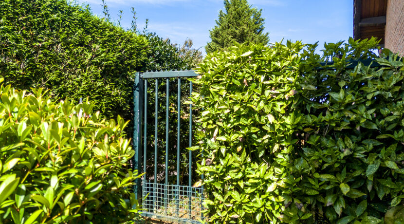 238-Tuin10